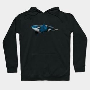 Galaxy Orca Hoodie